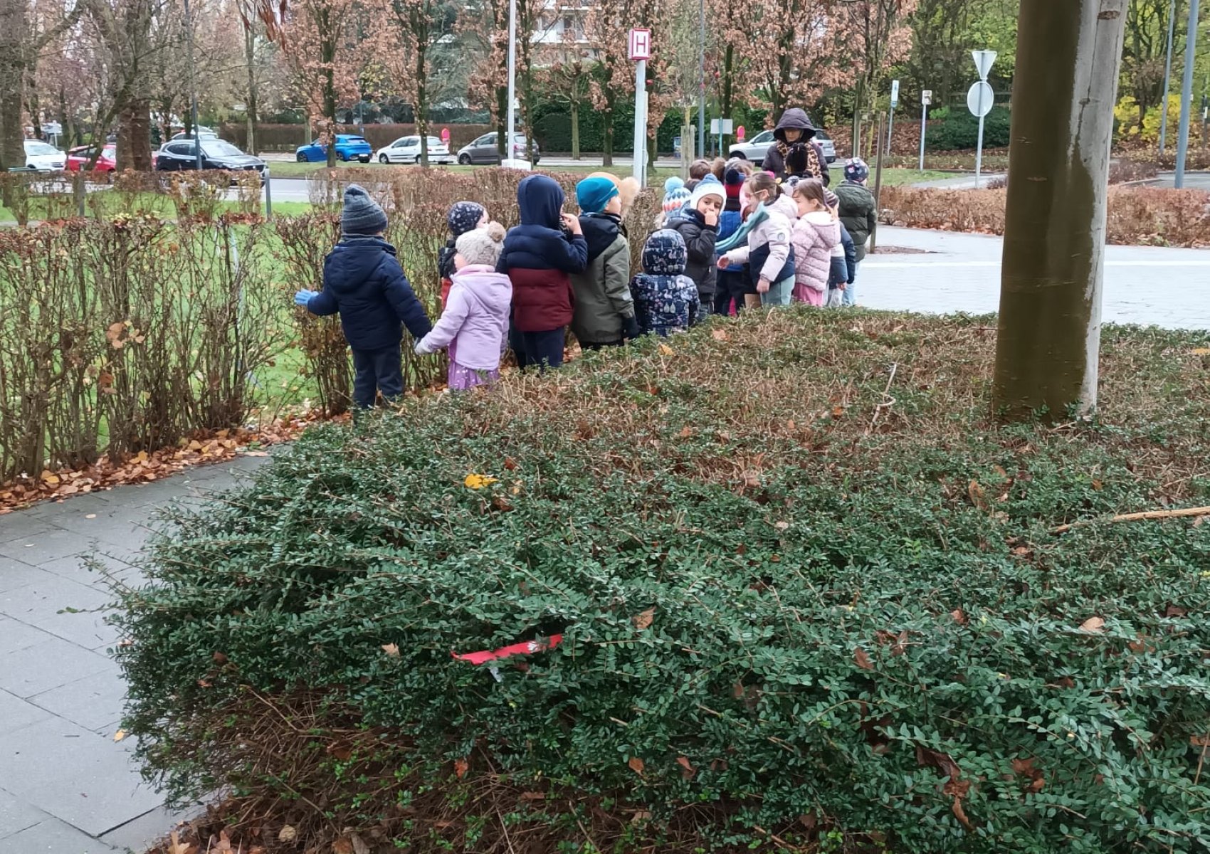 whatsapp image 2025-11-30 at 22.05.09